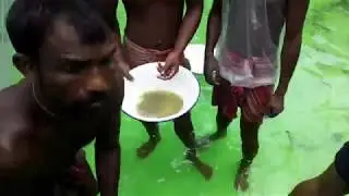 IMC Fish Breeding & Fish Eggs Hatching Techniques