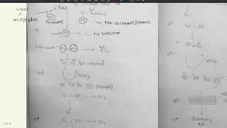 Back Cross Method of Recessive Gene Transfer.
