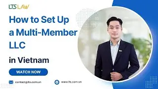 Don't Make These Mistakes When Setting Up a Multi-Member LLC in Vietnam | LTS LAW FIRM