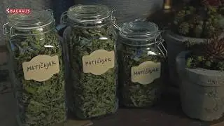 Škola vrtlarstva - matičnjak