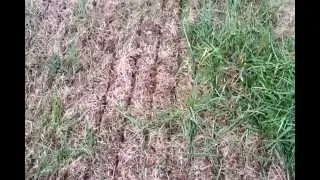 Slice Seeding
