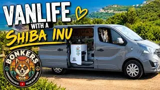 Vanlife rule #1: follow the Shiba, they always know the best spots. 😂