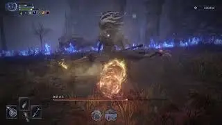 Day2ボス戦“無名の王”追跡者ソロ,レベル1攻略　　ELDEN RING NIGHTREIGN