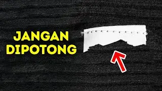 100+ Fakta Keren yang Tidak Akan Anda Temukan dalam Pencarian Cepat
