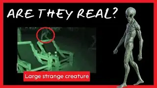 Alien?#shorts#cryptid #scary #creepy #caughtoncamera #strangecreature #monster   #viral #trending