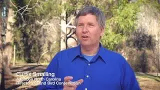 10,000 Nest Boxes for Nuthatches