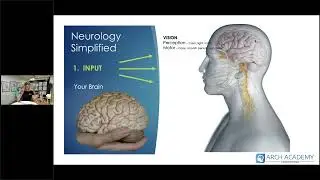 Neurology &ndash; So advanced, yet so simple with the right tools!