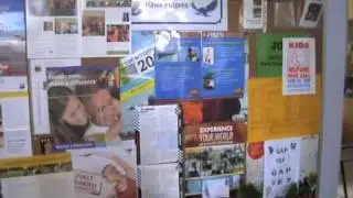 Building Racial Harmony: HSHS Etic Audit Samples