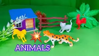 Plastic Animal Toys Video | விலங்குகளின் வீடியோக்கள் | REAL ANIMAL VIDEOS #animals #toys #kidsvideos