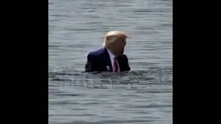 Donald Trump taking a quick swim in his suit | @ShortsAddict | #Shorts #ShortsAddict #ShortVideos