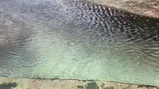 Figure 8 Pool - Walk from Garawarra Farm