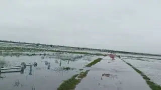 After Rain Teesta Solar Power Plant Condition | Part - 1