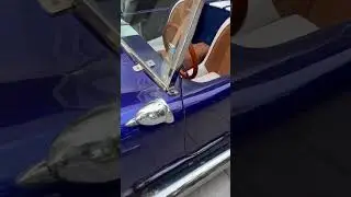 Precioso Shelby Cobra 1965 | ROAUTOS