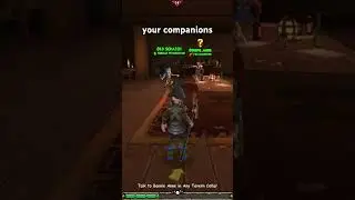 Why Promote Companions? In Pirate101