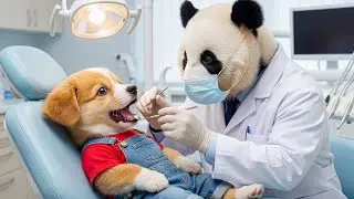 The Night of Candy Turns into a Dental Nightmare 😱🍭Baby Puppy Learns Why Brushing Matters 🪥🐶