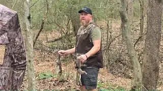 Squirrel Hunting Action at BDR Outdoors