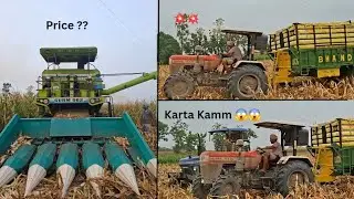 Makki de katyee  karta Kamm 😱😱