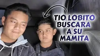 5  COSAS QUE NO SABIAS DE NOSOTROS / Tio Lobito (Buscara a su mama)