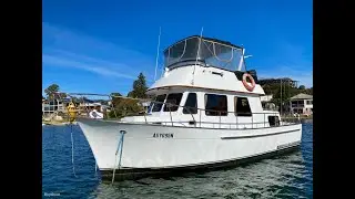 Clipper 34 Flybridge Cruising boat - Walkthrough