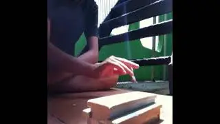Donato Styles - INTERIOR CROCODILE ALLIGATOR