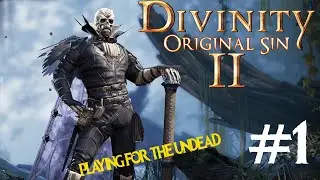 Прохождение DIVINITY: ORIGINAL SIN II 1 серия