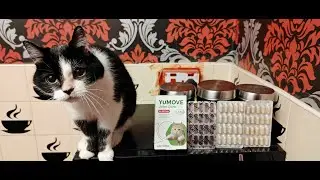 YUMOVE JOINT🦵CARE FOR CATS 🐱& DOGS 🐶REMOVE ARTHRITIC PAIN FROM PETS MAKING WALKING 🚶&zwj;♂️NORMAL AGAIN