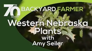 Western Nebraska Plants