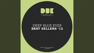 Through the Lens (Magnetic Brothers Remix)