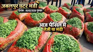 Matar Mandi Jabalpur Live Update | किसानों और व्यापारियों के लिए जरूरी खबर | The Advance Agriculture