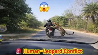 😱Leopard Attack in India | Camera Me Kaid Leopard Attack | Gaon Me Macha Hungama