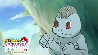 Machop #0066 | Animated Pok&eacute;dex Series