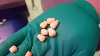 Dryce optical sorting machine for frozen sweet corn kernels | RAYTEC VISION SpA