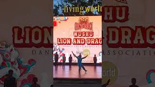 Tiffany Tjwa // Wushu Performance // Living World // 18 Jan 2026 #wushu #taijiquan #taiji 