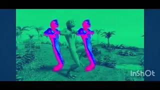 Patila rainbow z and dane tu