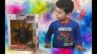 Remote Control Spider Unboxing and Playtime with Shenoty
