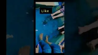 #fish spa#1st ఎక్స్పీరియన్స్ #telugu#shots#india#trending#vlogs#yt#viralreels#funny#massagetherapy#