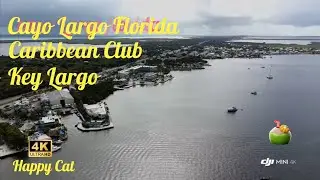 Long Key in Florida #beautiful #Florida #Followme #Citypark #nature #keyshighway #dronevideos 