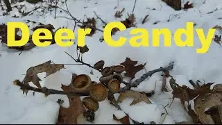 How to find the Best Public Land Late Season Hunting Area's