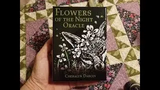 Daily Card Flower Friday Feb 8, 2019