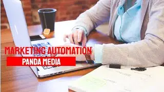 Ihre Marketing Automation Agentur Recklinghausen - PANDA MEDIA