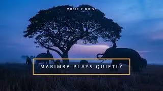 These Marimba Tracks Really Work