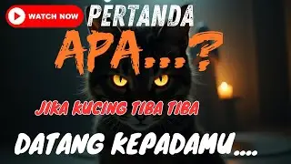 Kucing Datang Tiba-Tiba? Ini Rahasia di Balik Sikapnya Menurut Islam
