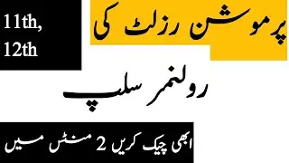 How to download roll number slips of promotion result 2020-2020 result slips