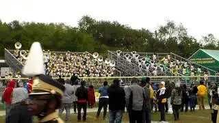Mighty Marching Thorobreds 