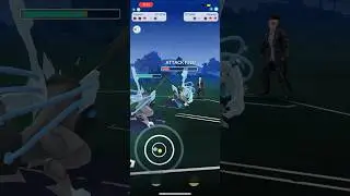 Black Kyurem sweeps master League