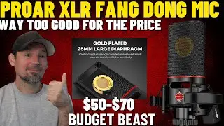 Proar XLR Fang Dong Mic Review and Comparison | Cheap Price | Great Sound