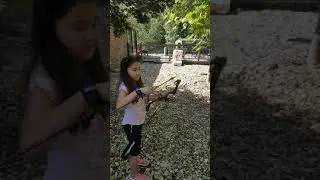 Perfection with Practice