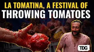 Tomatina Festival 2024: A Day of Tomato Throwing in Bunol, 22K Joins the Fight