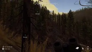 Way of the Hunter ✨🥇 MELANISTIC 5 STAR WOLF # 960 on Nez Perce!