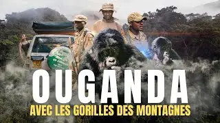 ON RENCONTRE GORILLES DES MONTAGNES EN OUGANDA | BWINDI !! [Guide]
